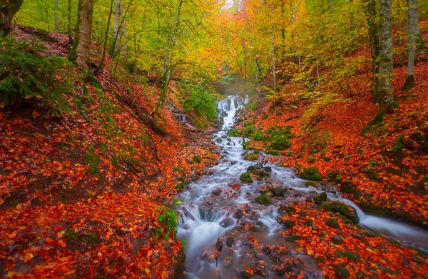 Seven Lakes Yedigller National Park Cores Mais Bonitas Outono Cachoeira — Fotografia de Stock