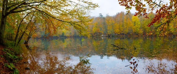 Parc National Des Sept Lacs Yedigller Les Belles Couleurs Automne — Photo