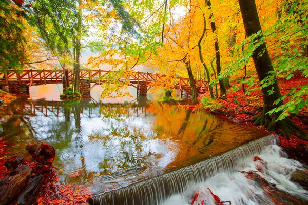 Seven Lakes Yedigller Park Narodowy Najpiękniejsze Kolory Jesieni Wodospad Został — Zdjęcie stockowe
