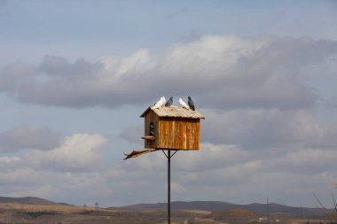 Kapadokya Güvercin Vadisi, güvercinlerin sabahları sürekli vadide dolaştığı yer..