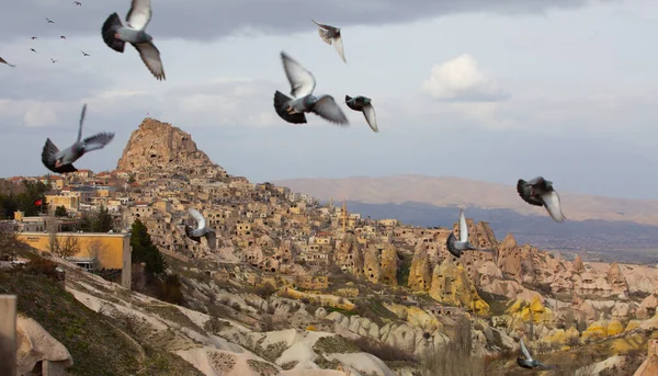 Capadocia Valle Las Palomas Donde Las Palomas Recorren Valle Todo — Foto de Stock