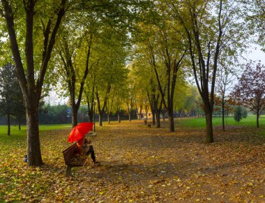 Sonbaharda manzara parkı. Güneşli bir günde sonbahar manzarası. İnsanlar güneşli havada parkta geziniyorlar. Renkli ağaçlar sonbahar mevsiminin güzelliğini gösterir. Botanik Parkı, Bursa, Türkiye.