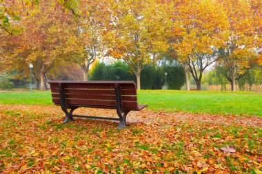 Sonbaharda manzara parkı. Güneşli bir günde sonbahar manzarası. İnsanlar güneşli havada parkta geziniyorlar. Renkli ağaçlar sonbahar mevsiminin güzelliğini gösterir. Botanik Parkı, Bursa, Türkiye.