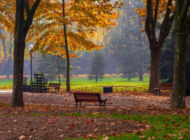 Park landscape in autumn. Autumn landscape on a sunny day. People strolling in the park in sunny weather. colorful trees show the beauty of the autumn season. Botanical park, Bursa, Turkey.