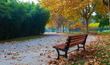 Sonbaharda manzara parkı. Güneşli bir günde sonbahar manzarası. İnsanlar güneşli havada parkta geziniyorlar. Renkli ağaçlar sonbahar mevsiminin güzelliğini gösterir. Botanik Parkı, Bursa, Türkiye.