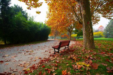 Park landscape in autumn. Autumn landscape on a sunny day. People strolling in the park in sunny weather. colorful trees show the beauty of the autumn season. Botanical park, Bursa, Turkey.