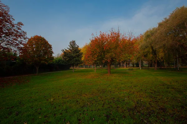 Park Landscape Autumn Autumn Landscape Sunny Day People Strolling Park — ストック写真