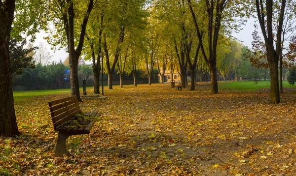 Park landscape in autumn. Autumn landscape on a sunny day. People strolling in the park in sunny weather. colorful trees show the beauty of the autumn season. Botanical park, Bursa, Turkey.