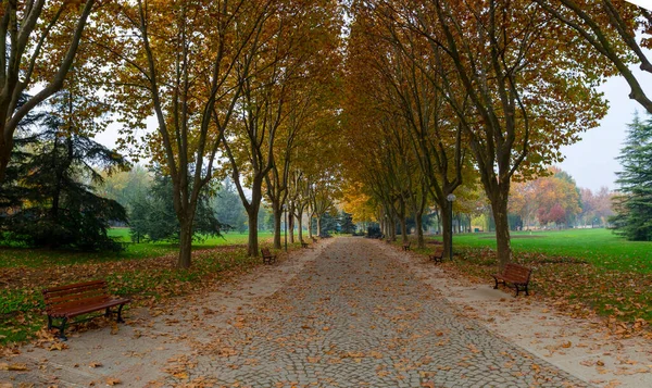 Park landscape in autumn. Autumn landscape on a sunny day. People strolling in the park in sunny weather. colorful trees show the beauty of the autumn season. Botanical park, Bursa, Turkey.