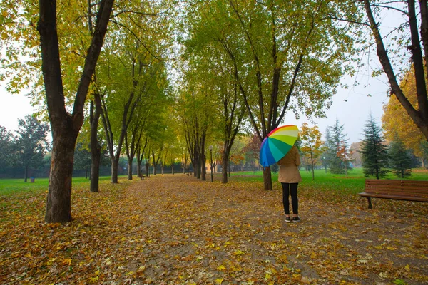 Парк Пейзаж Осенью Осенний Пейзаж Солнечный День Люди Прогуливаются Парке — стоковое фото