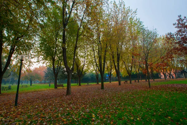 Park landscape in autumn. Autumn landscape on a sunny day. People strolling in the park in sunny weather. colorful trees show the beauty of the autumn season. Botanical park, Bursa, Turkey.