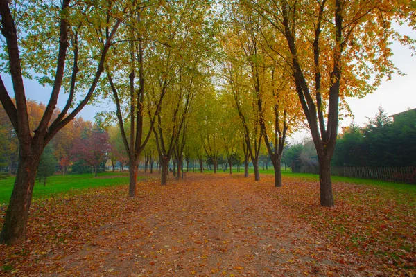 Park landscape in autumn. Autumn landscape on a sunny day. People strolling in the park in sunny weather. colorful trees show the beauty of the autumn season. Botanical park, Bursa, Turkey.