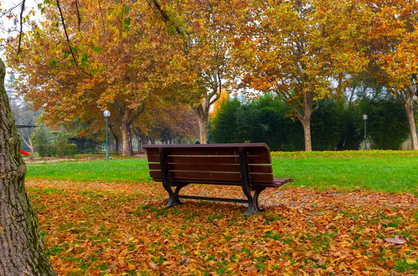 Park landscape in autumn. Autumn landscape on a sunny day. People strolling in the park in sunny weather. colorful trees show the beauty of the autumn season. Botanical park, Bursa, Turkey.