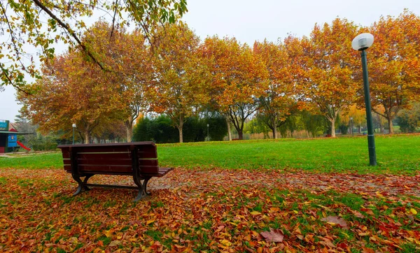 Park landscape in autumn. Autumn landscape on a sunny day. People strolling in the park in sunny weather. colorful trees show the beauty of the autumn season. Botanical park, Bursa, Turkey.