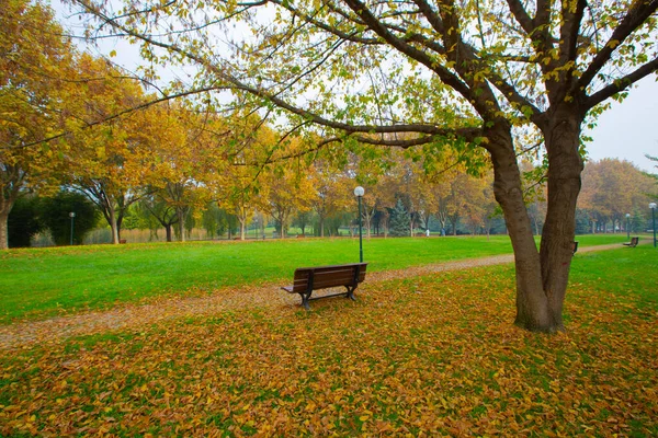 Park landscape in autumn. Autumn landscape on a sunny day. People strolling in the park in sunny weather. colorful trees show the beauty of the autumn season. Botanical park, Bursa, Turkey.