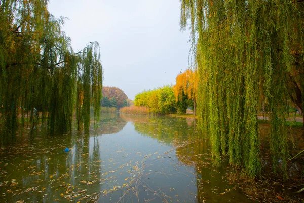 Park landscape in autumn. Autumn landscape on a sunny day. People strolling in the park in sunny weather. colorful trees show the beauty of the autumn season. Botanical park, Bursa, Turkey.