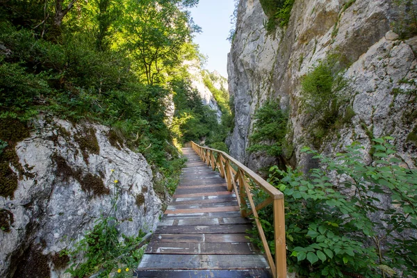 Parc National Des Monts Kure Canyon Horma Sentier Randonnée Canyon — Photo