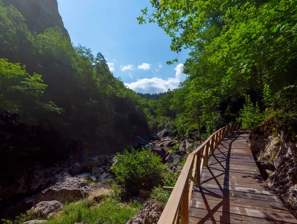 Horma Canyon Kure Mountains National Park Horma Canyon Wandelpad Turkije — Stockfoto