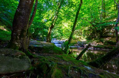 Su Uctu Çeşmesi, Suuctu, Mustafa Kemal Paşa, Bursa, Türkiye