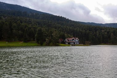 Bolu Golcuk Milli Parkı 'ndaki ormanın içindeki Wooden Gölü evi, Bolu