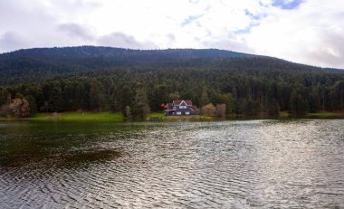 Bolu Golcuk Milli Parkı 'ndaki ormanın içindeki Wooden Gölü evi, Bolu