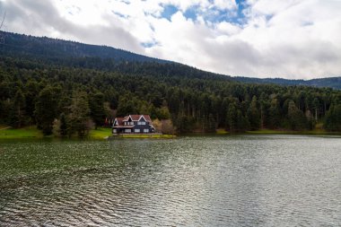 Bolu Golcuk Milli Parkı 'ndaki ormanın içindeki Wooden Gölü evi, Bolu