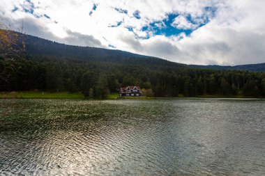 Bolu Golcuk Milli Parkı 'ndaki ormanın içindeki Wooden Gölü evi, Bolu