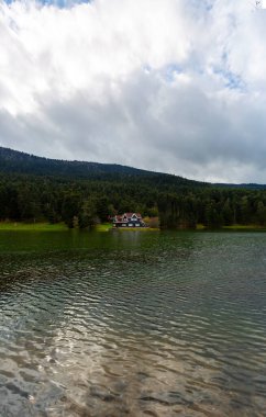 Bolu Golcuk Milli Parkı 'ndaki ormanın içindeki Wooden Gölü evi, Bolu