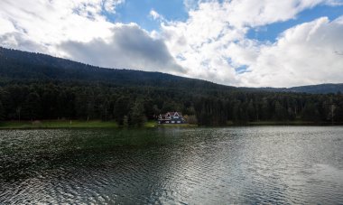 Bolu Golcuk Milli Parkı 'ndaki ormanın içindeki Wooden Gölü evi, Bolu