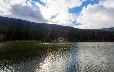 Bolu Golcuk Milli Parkı 'ndaki ormanın içindeki Wooden Gölü evi, Bolu