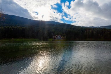 Bolu Golcuk Milli Parkı 'ndaki ormanın içindeki Wooden Gölü evi, Bolu