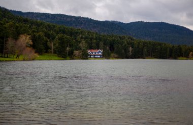 Bolu Golcuk Milli Parkı 'ndaki ormanın içindeki Wooden Gölü evi, Bolu