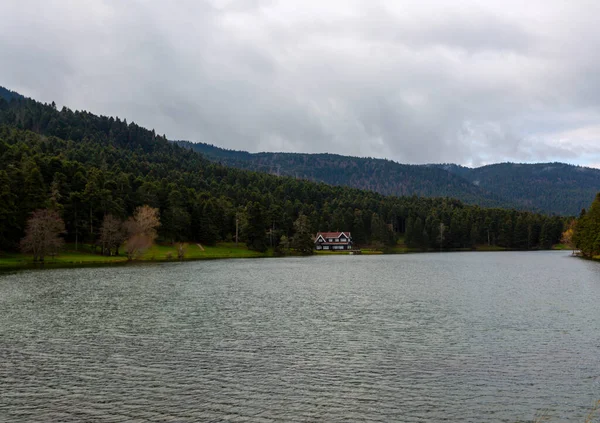 Casa Lago Madera Dentro Del Bosque Parque Nacional Bolu Golcuk —  Fotos de Stock