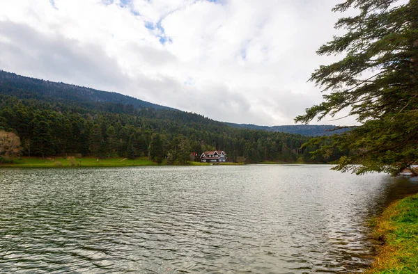 Casa Lago Madera Dentro Del Bosque Parque Nacional Bolu Golcuk — Foto de Stock