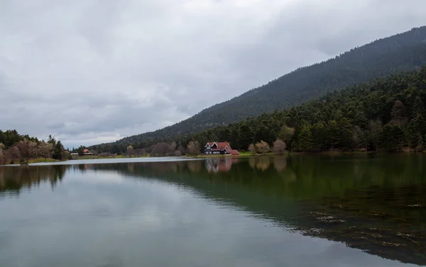 Maison Lac Bois Intérieur Forêt Dans Parc National Bolu Golcuk — Photo