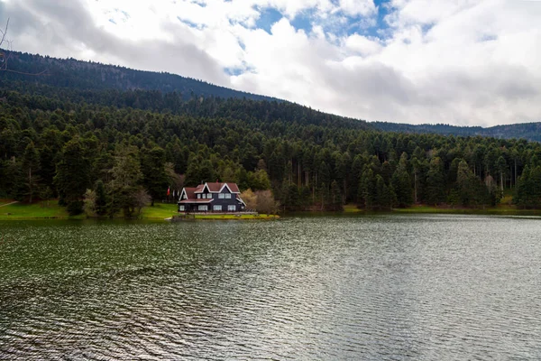 Casa Legno Del Lago Dentro Foresta Nel Parco Nazionale Bolu — Foto Stock
