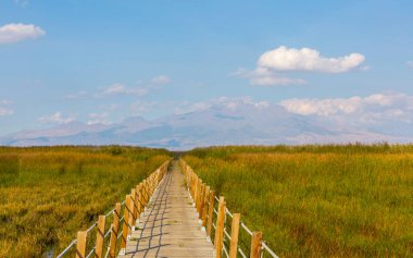 güzel manzara ve sultanmarshes (kuş cenneti) yanındaki erciyes Dağı, kayseri