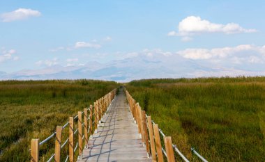 güzel manzara ve sultanmarshes (kuş cenneti) yanındaki erciyes Dağı, kayseri