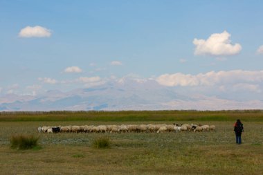 güzel manzara ve sultanmarshes (kuş cenneti) yanındaki erciyes Dağı, kayseri