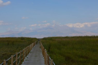 güzel manzara ve sultanmarshes (kuş cenneti) yanındaki erciyes Dağı, kayseri