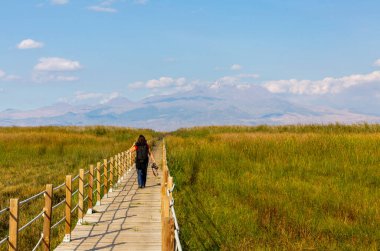 güzel manzara ve sultanmarshes (kuş cenneti) yanındaki erciyes Dağı, kayseri