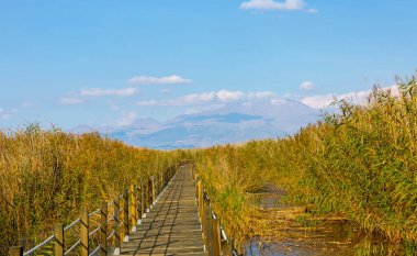 güzel manzara ve sultanmarshes (kuş cenneti) yanındaki erciyes Dağı, kayseri