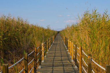 güzel manzara ve sultanmarshes (kuş cenneti) yanındaki erciyes Dağı, kayseri