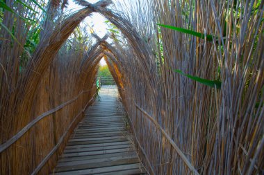güzel manzara ve sultanmarshes (kuş cenneti) yanındaki erciyes Dağı, kayseri