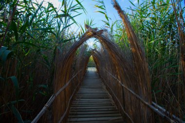 güzel manzara ve sultanmarshes (kuş cenneti) yanındaki erciyes Dağı, kayseri