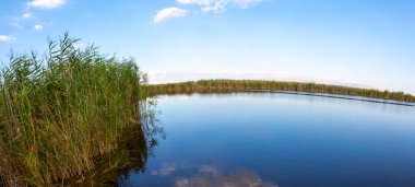 güzel manzara ve sultanmarshes (kuş cenneti) yanındaki erciyes Dağı, kayseri