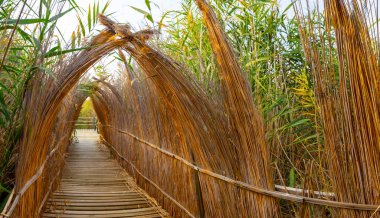 güzel manzara ve sultanmarshes (kuş cenneti) yanındaki erciyes Dağı, kayseri