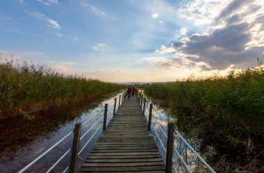 güzel manzara ve sultanmarshes (kuş cenneti) yanındaki erciyes Dağı, kayseri
