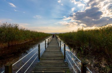 güzel manzara ve sultanmarshes (kuş cenneti) yanındaki erciyes Dağı, kayseri