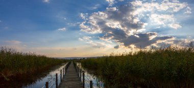 güzel manzara ve sultanmarshes (kuş cenneti) yanındaki erciyes Dağı, kayseri
